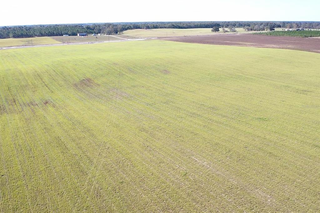 Northwest 72nd Place Bell, FL 32619 - Photo 6 of 11