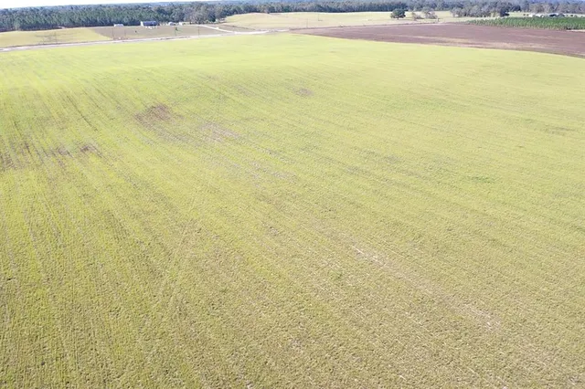 $299,000 | Northwest 72nd Place, Bell, FL 32619