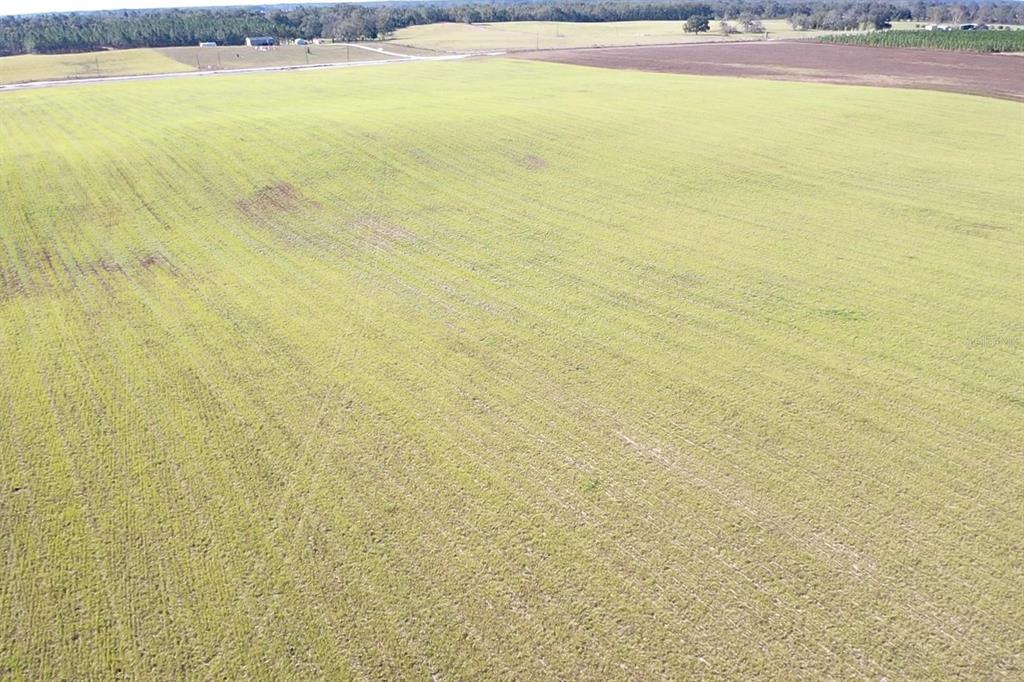 Northwest 72nd Place Bell, FL 32619 - Photo 7 of 11