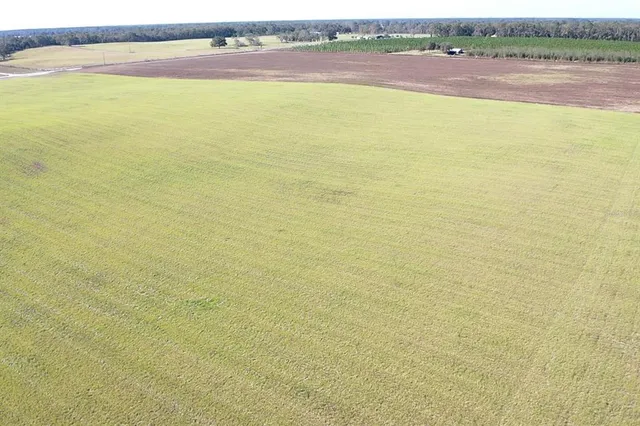 $299,000 | Northwest 72nd Place, Bell, FL 32619