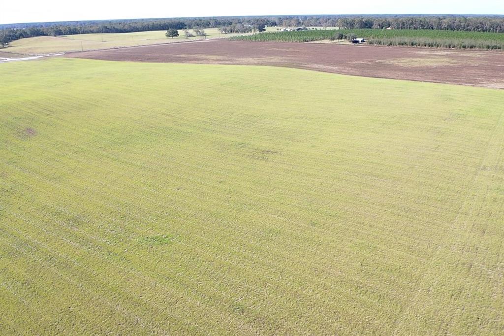 Northwest 72nd Place Bell, FL 32619 - Photo 9 of 11