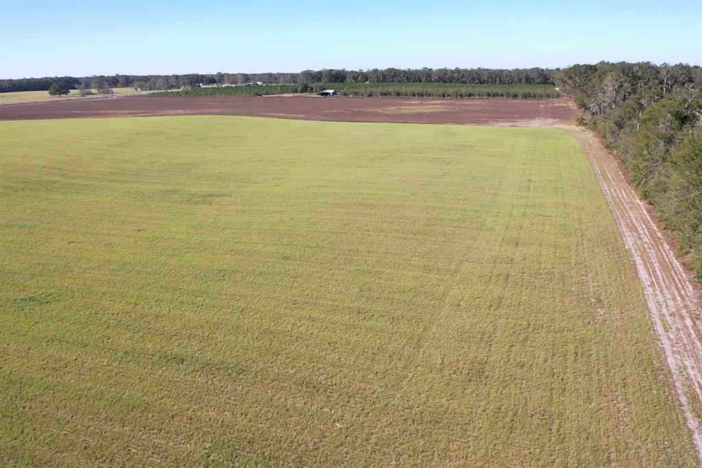 Northwest 72nd Place Bell, FL 32619 - Photo 10 of 11