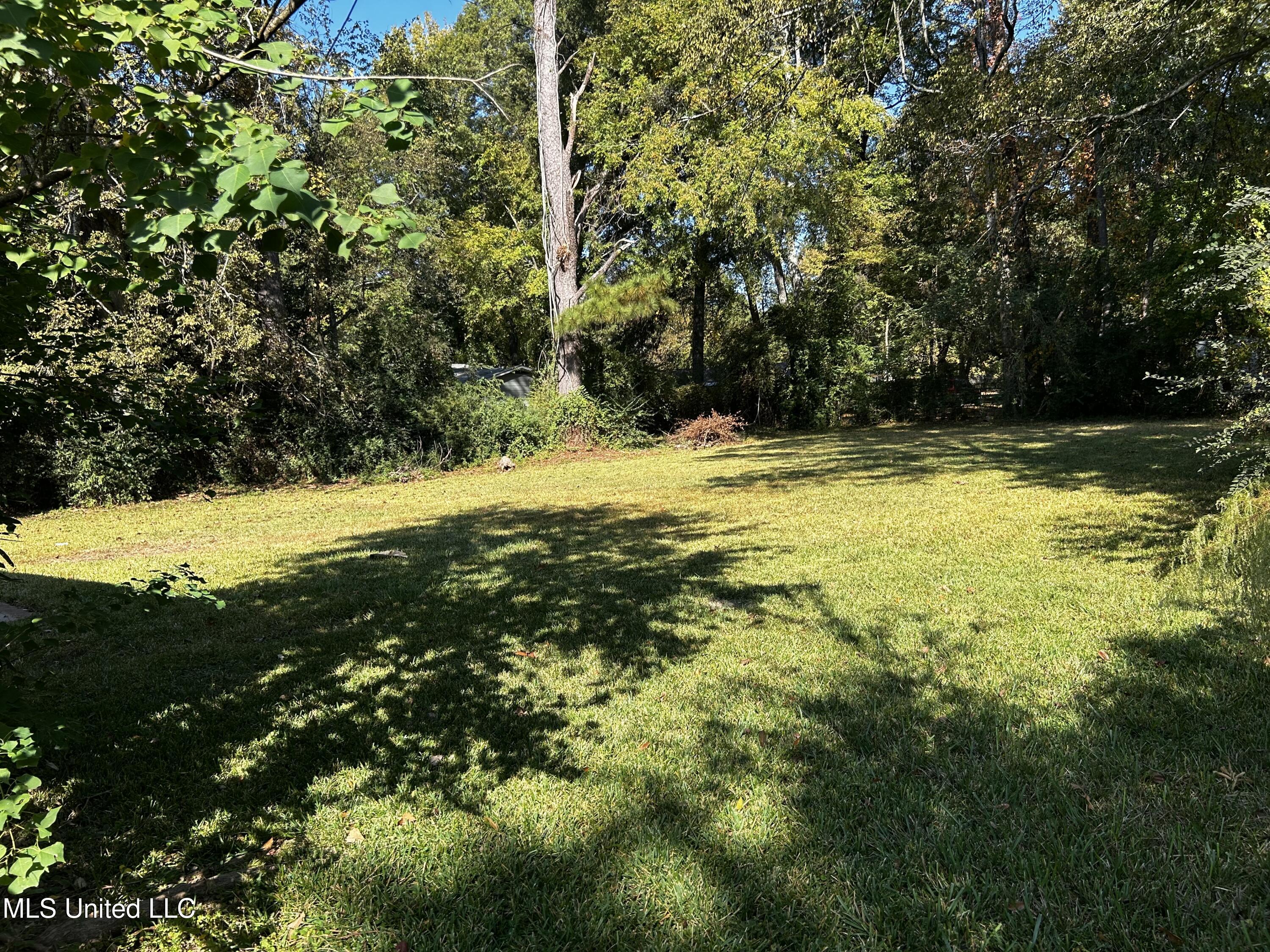 312 Cedars Of Lebanon Road Jackson, MS 39206 - Photo 6 of 6 Back yard
