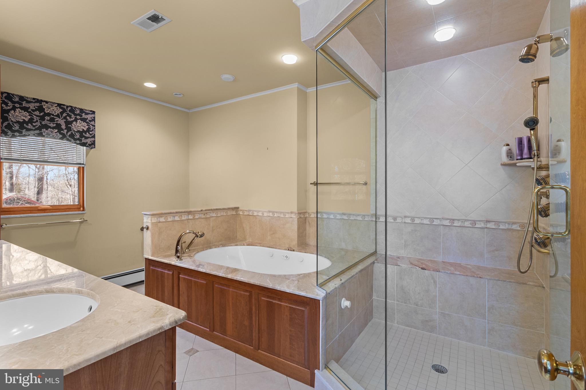 107 Walnut Ridge Road Greenville, DE 19807 - Photo 19 of 37 a bathroom with a tub sink and mirror