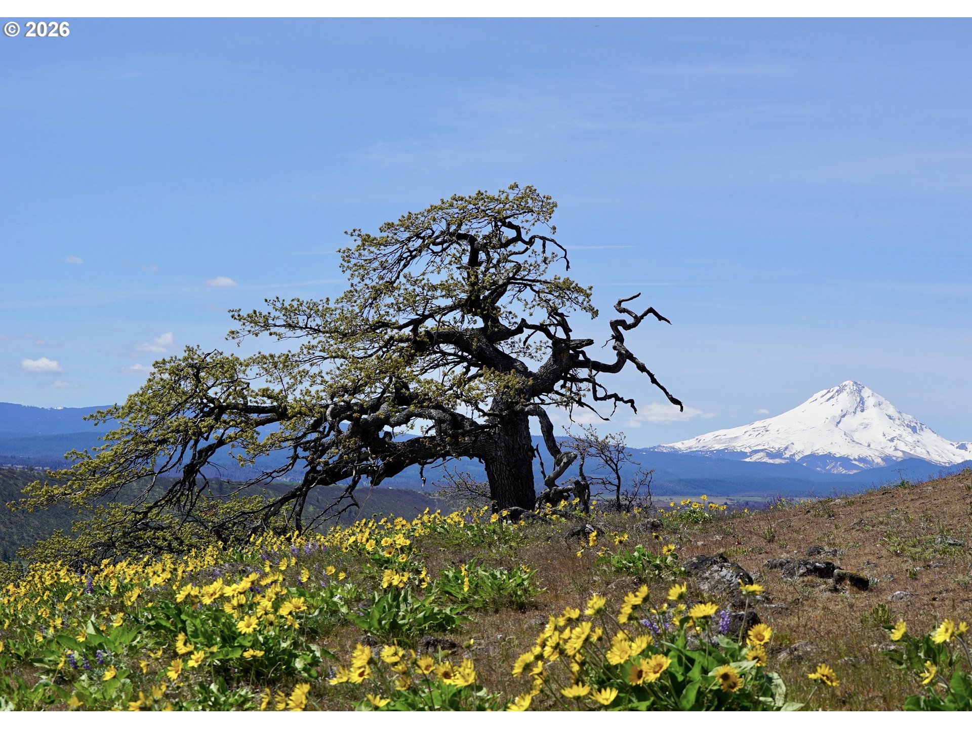 3455 3 Mile County Road The Dalles, OR 97058 - Photo 18 of 48