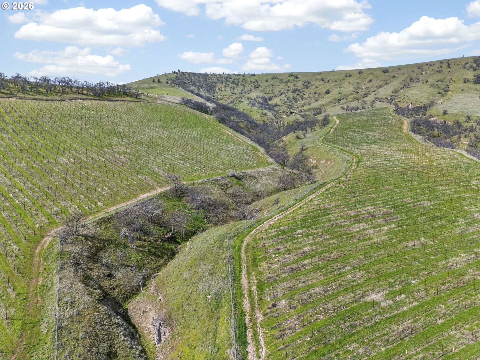 3455 3 Mile County Road The Dalles, OR 97058 - Photo 23 of 48