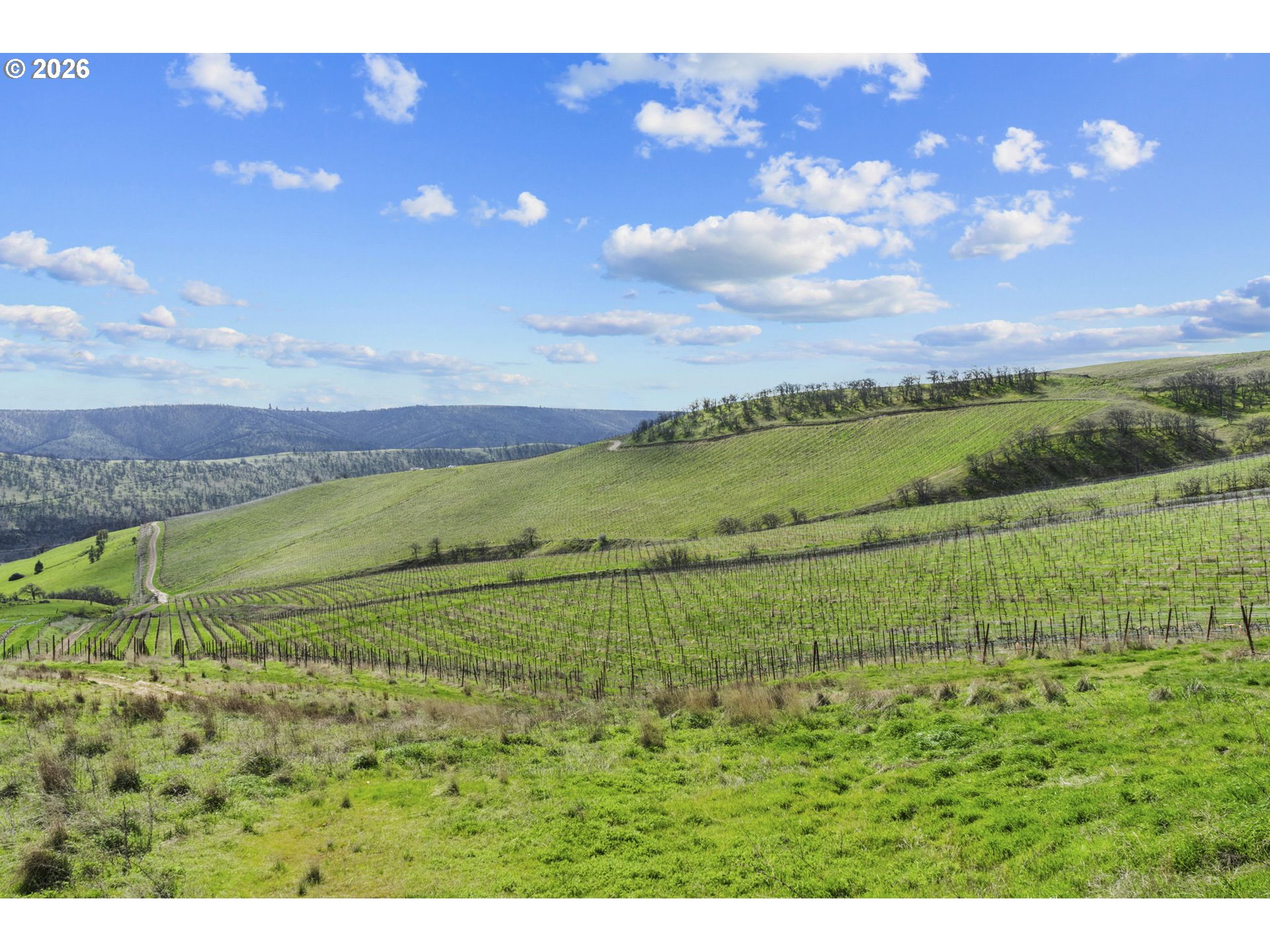 3455 3 Mile County Road The Dalles, OR 97058 - Photo 24 of 48