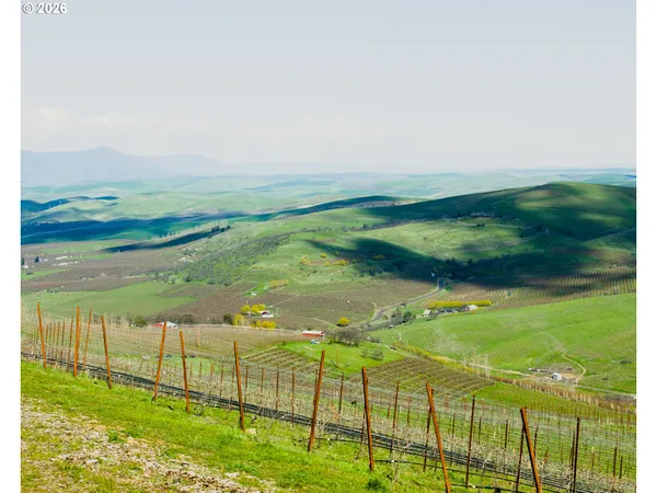 a view of a lake with a mountain in the background