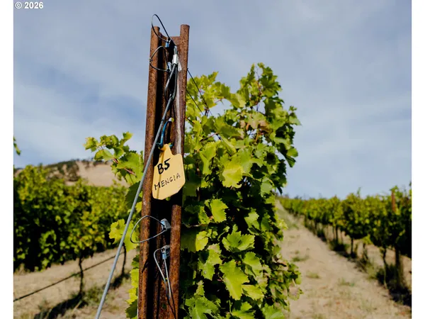 a view of a golf course with a yard