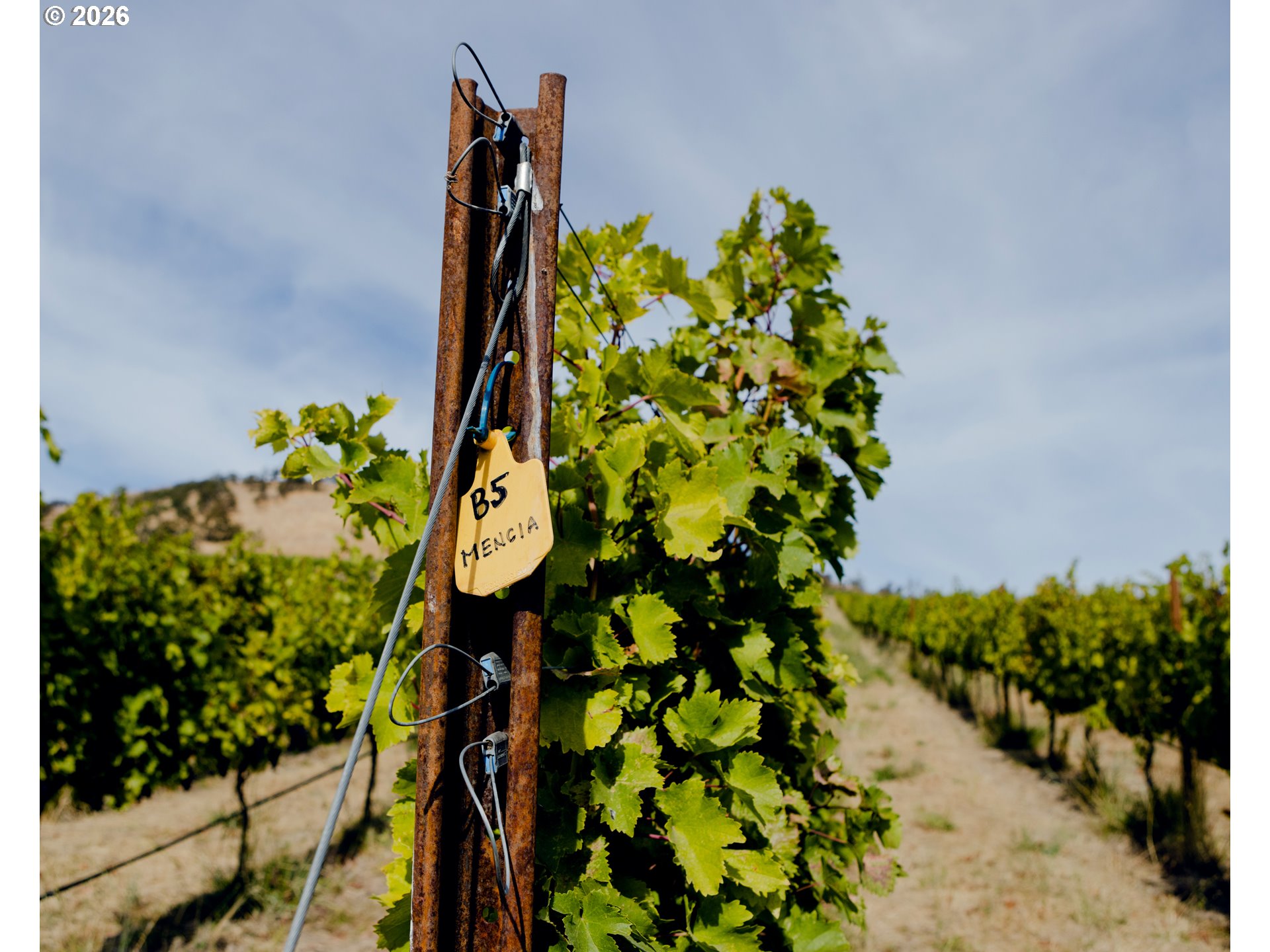 3455 3 Mile County Road The Dalles, OR 97058 - Photo 29 of 48