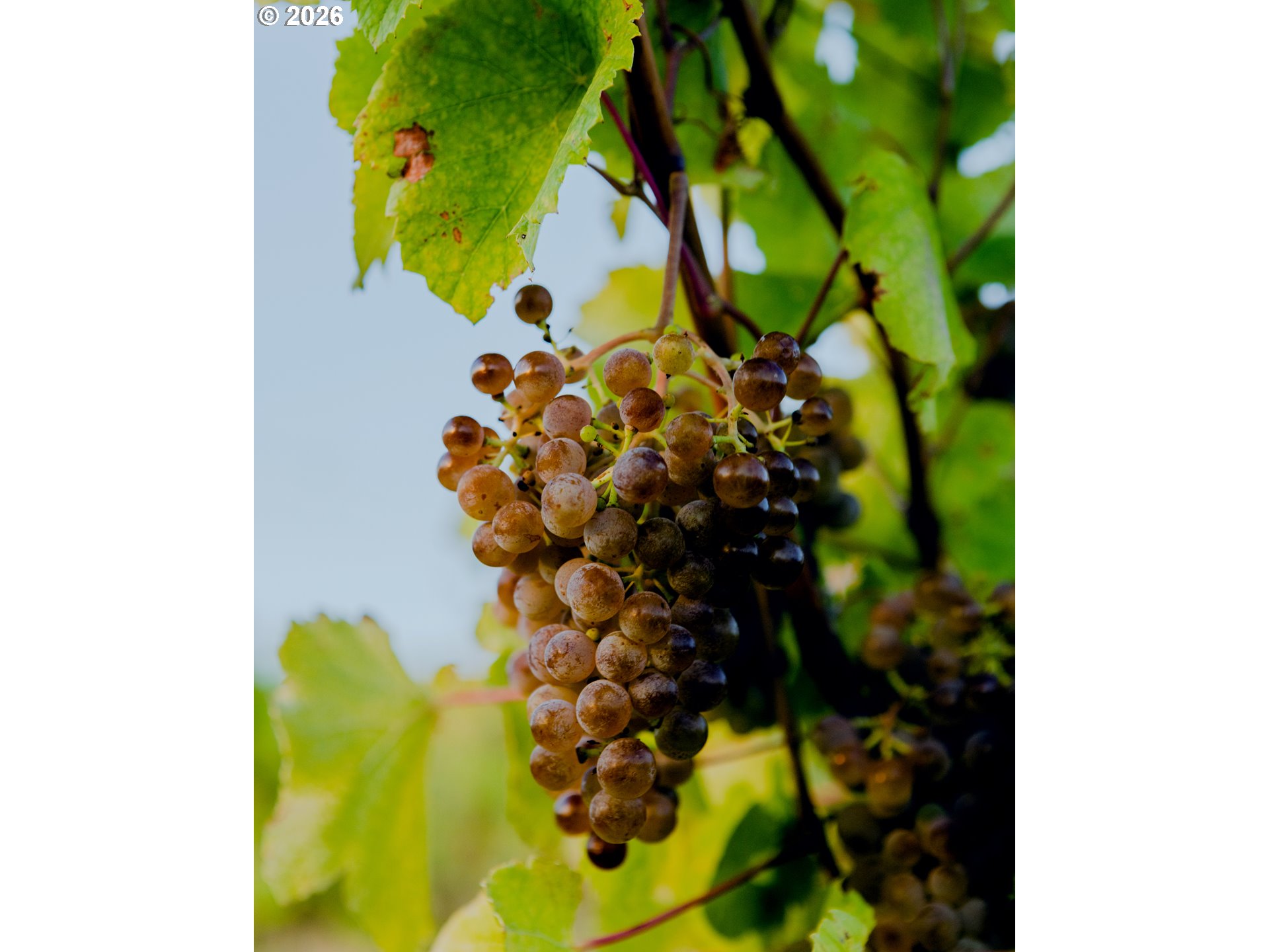 3455 3 Mile County Road The Dalles, OR 97058 - Photo 30 of 48