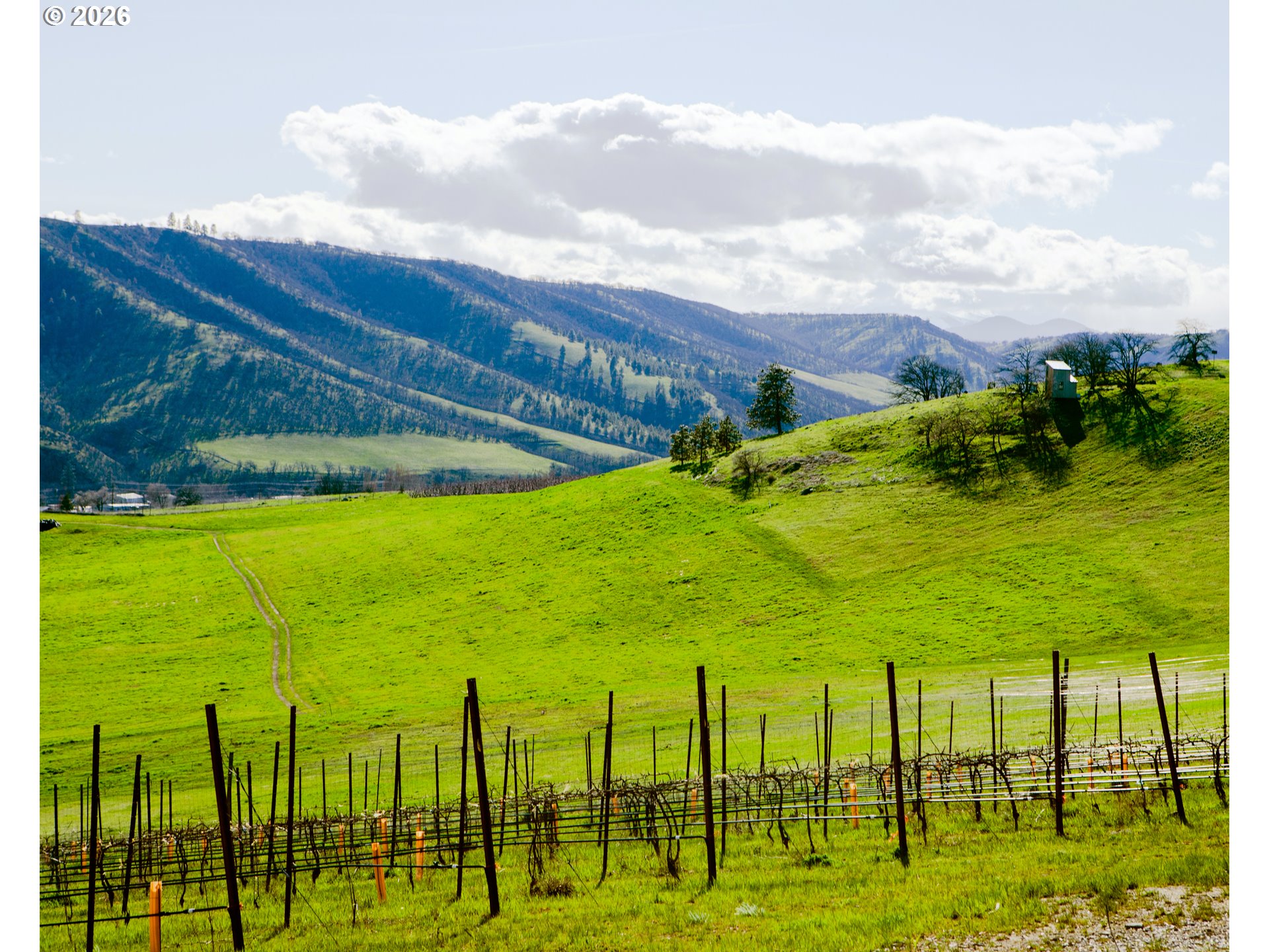 3455 3 Mile County Road The Dalles, OR 97058 - Photo 3 of 48