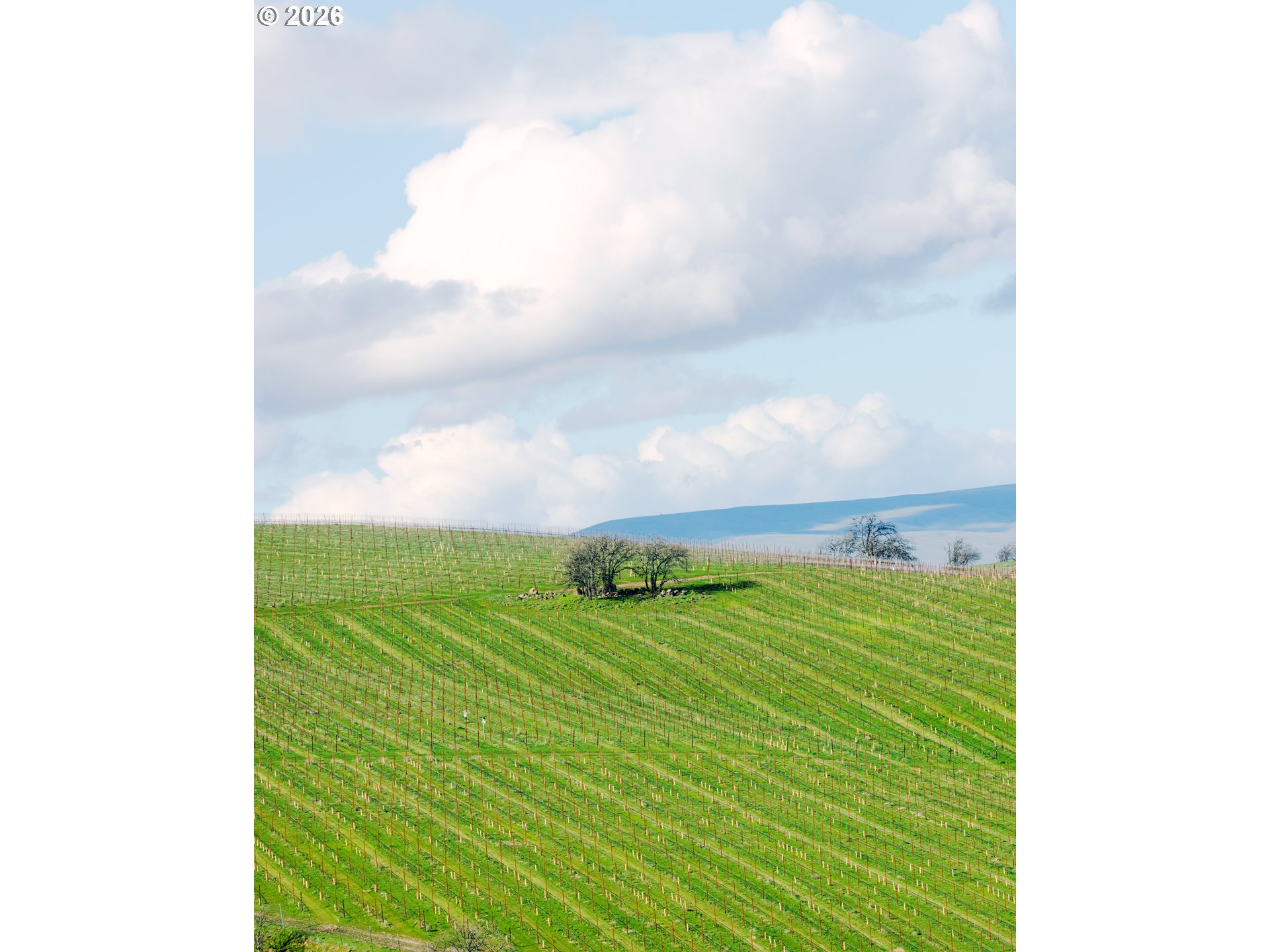 3455 3 Mile County Road The Dalles, OR 97058 - Photo 31 of 48