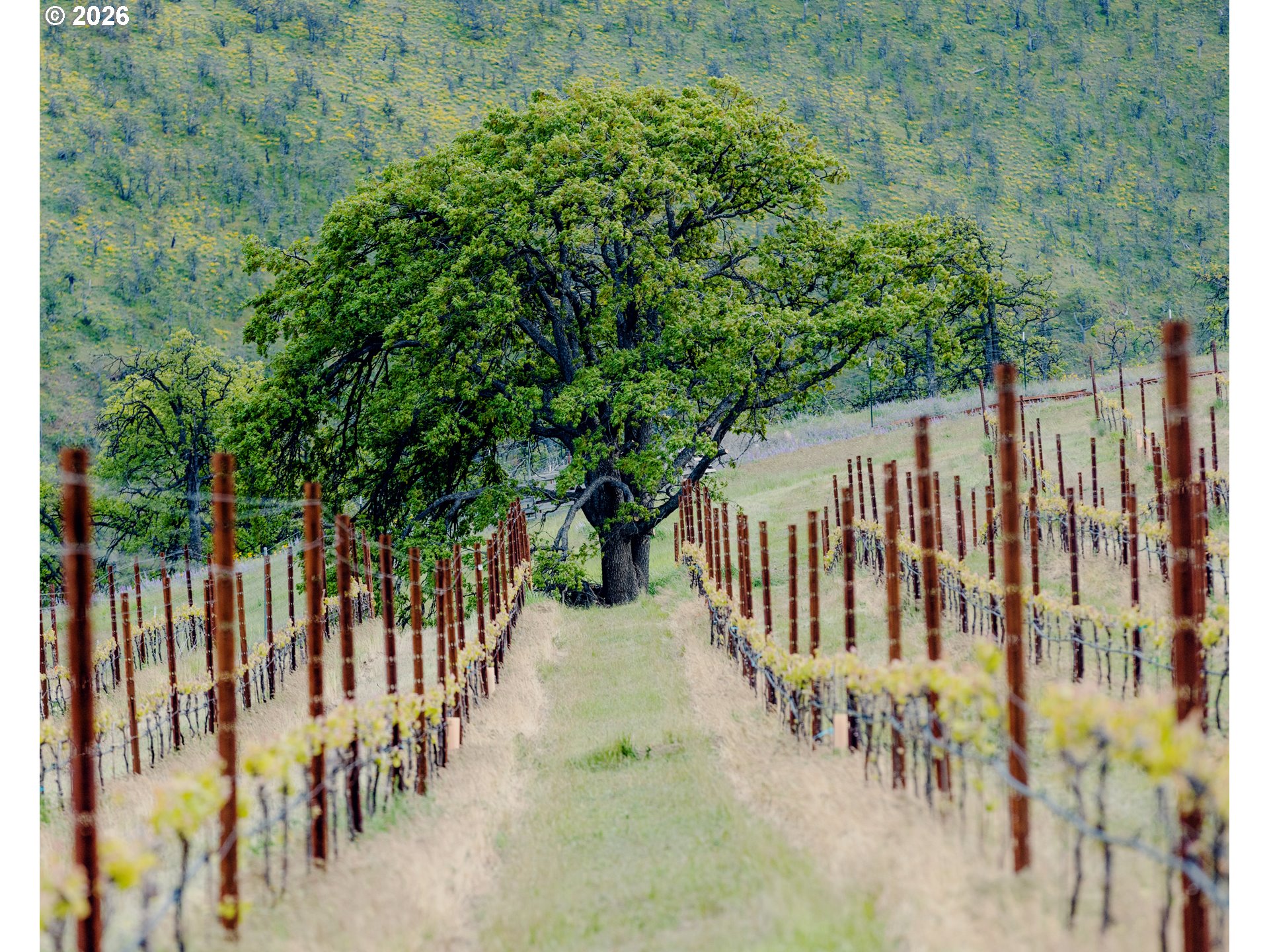 3455 3 Mile County Road The Dalles, OR 97058 - Photo 36 of 48