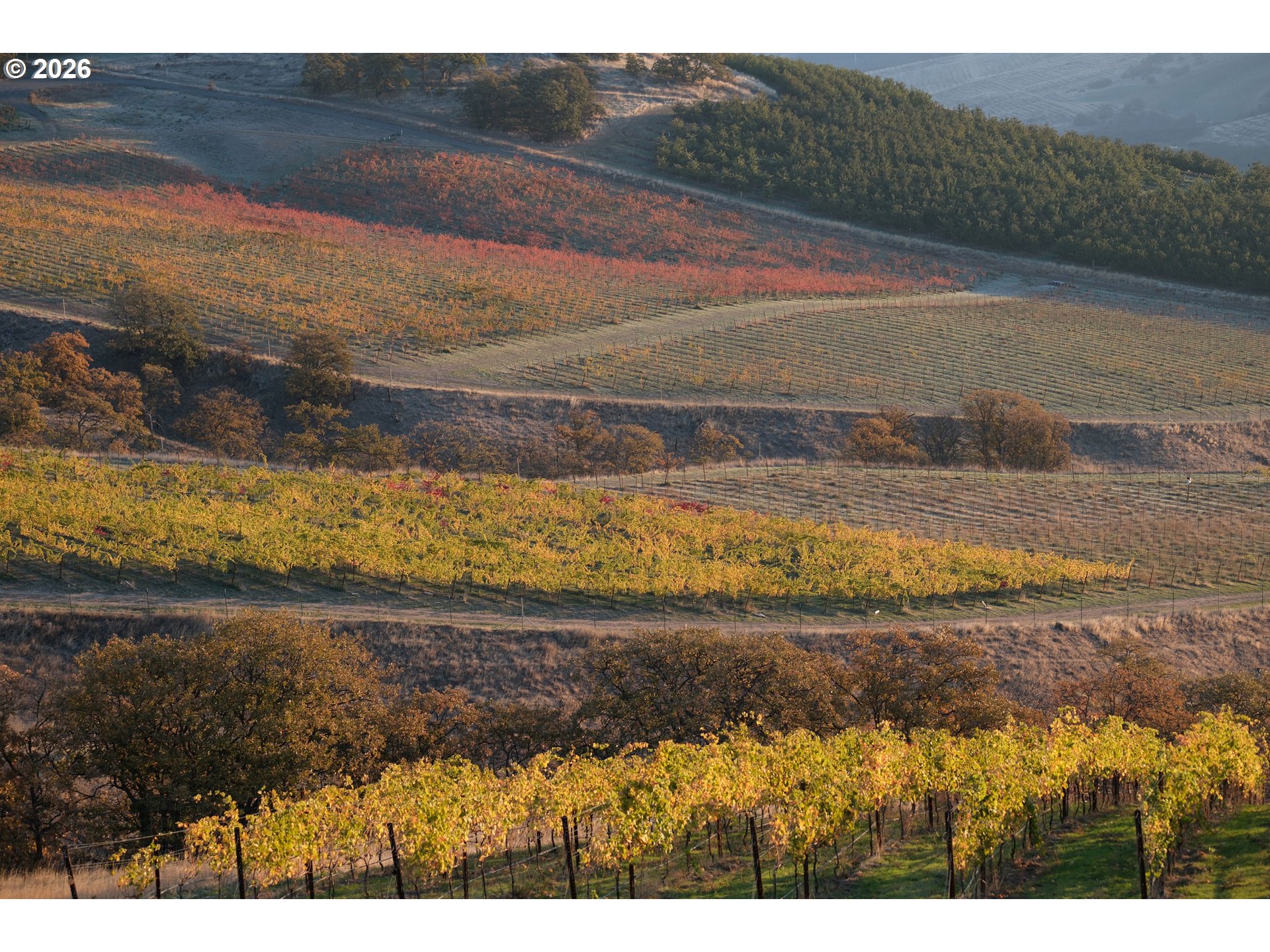 3455 3 Mile County Road The Dalles, OR 97058 - Photo 37 of 48