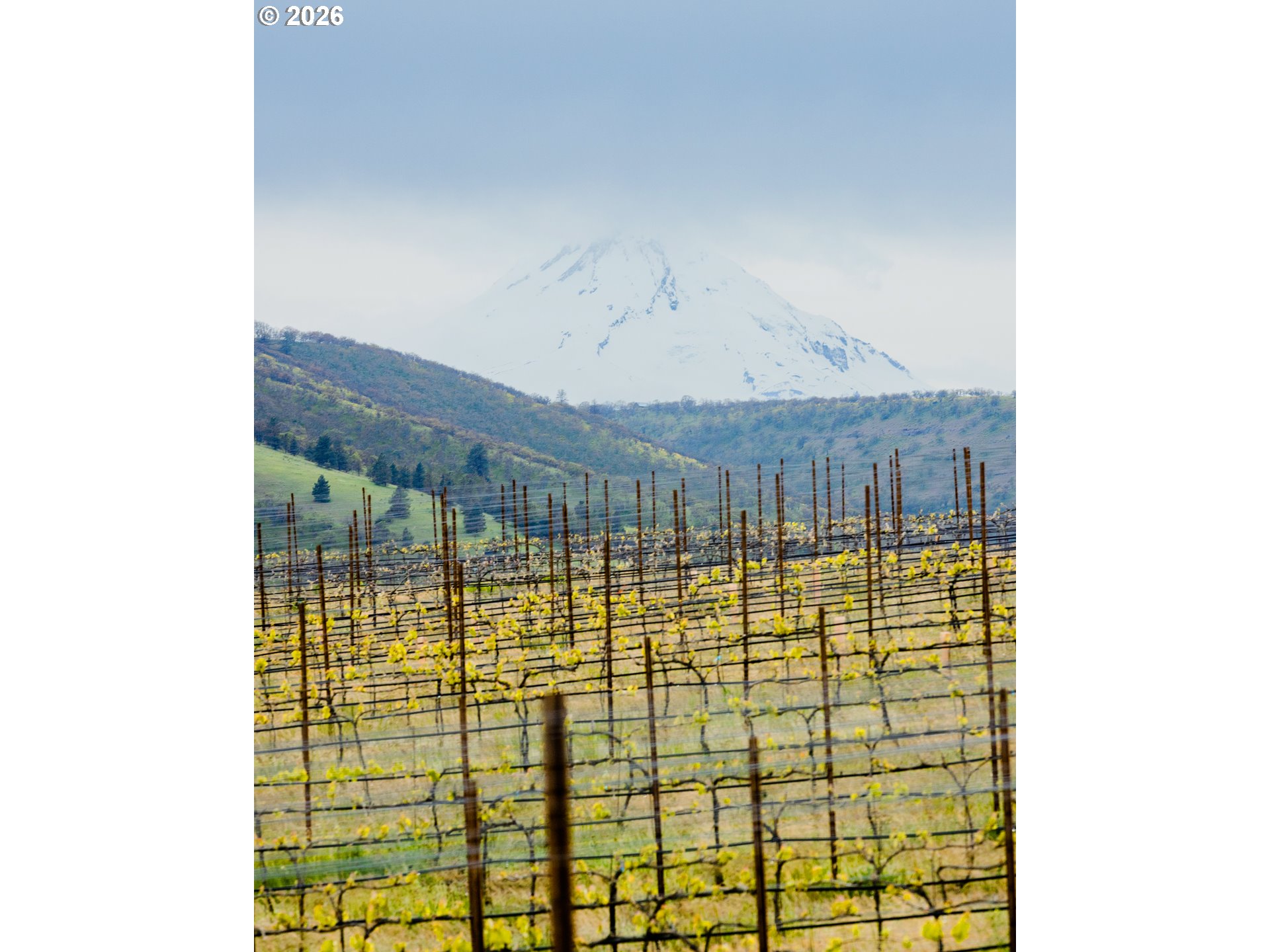 3455 3 Mile County Road The Dalles, OR 97058 - Photo 39 of 48