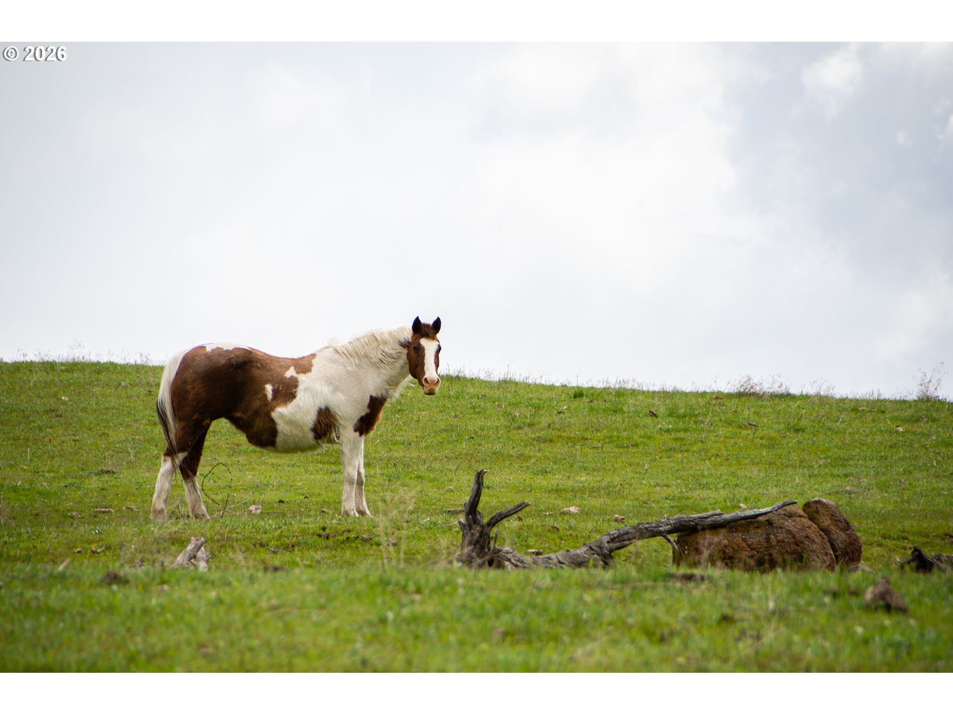 3455 3 Mile County Road The Dalles, OR 97058 - Photo 40 of 48