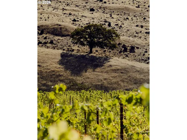 a view of a city with mountain in the background