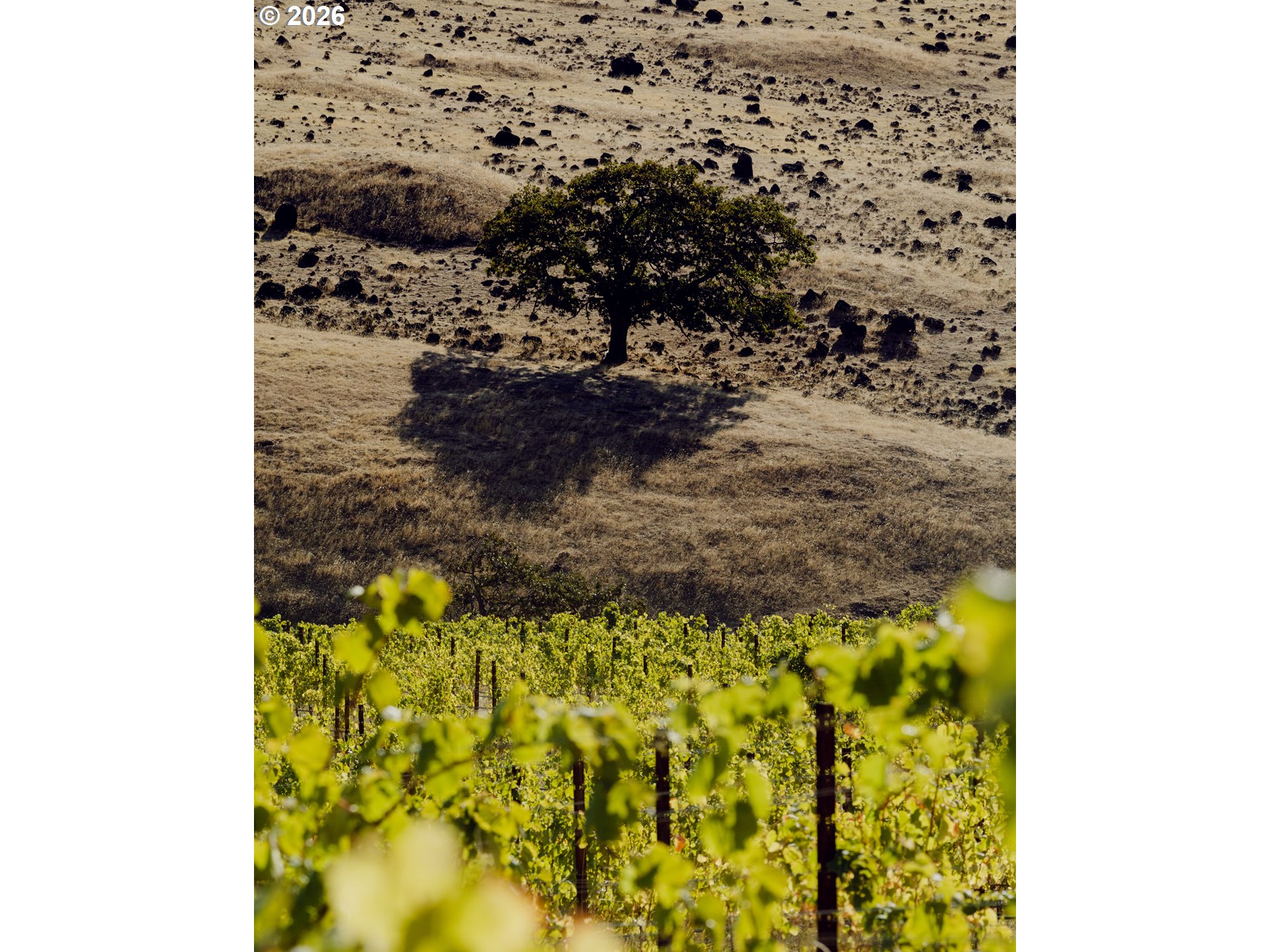 3455 3 Mile County Road The Dalles, OR 97058 - Photo 44 of 48