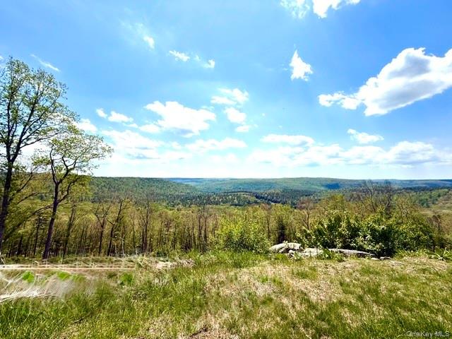 125 Mapes Road Barryville, NY 12719 - Photo 37 of 37 Views