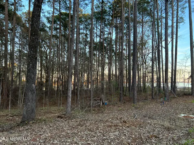 $123,480 | 142 Apollo Way, Canton, MS 39046