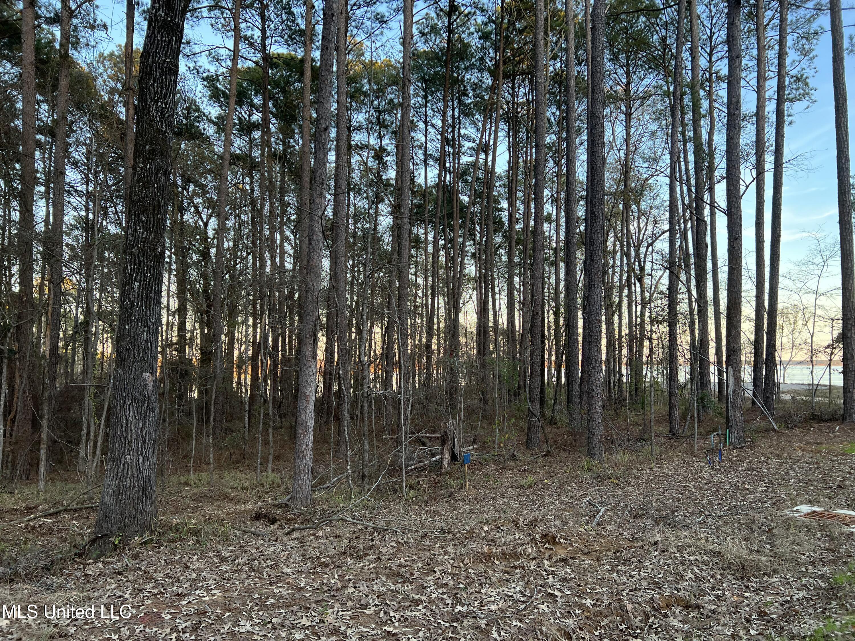 142 Apollo Way Canton, MS 39046 - Photo 3 of 10 Expedition Point Lot 8