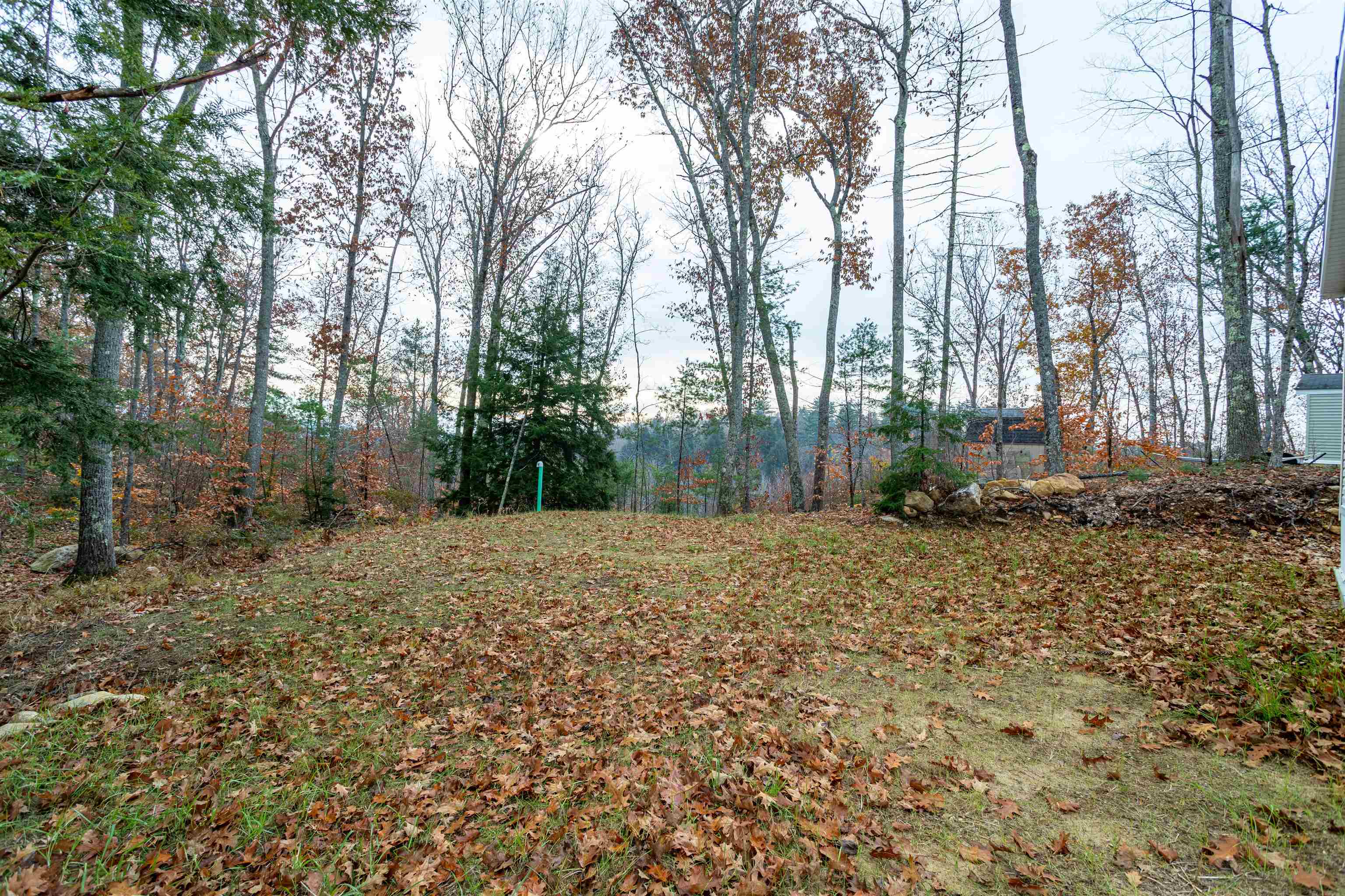 6 White Birch Road Barnstead, NH 03218 - Photo 31 of 38