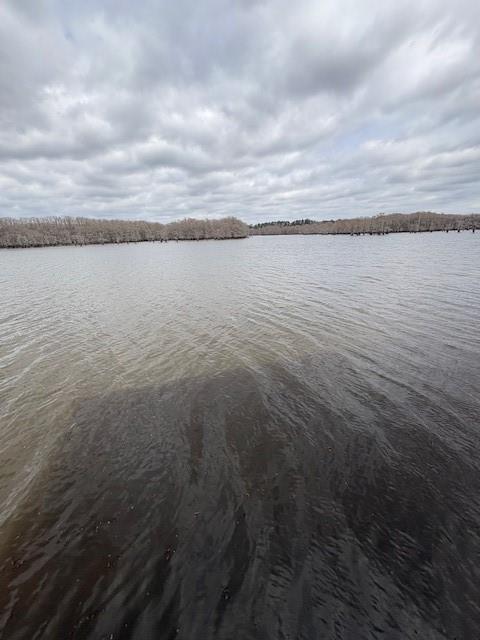 306 Pine Street Heflin, LA 71039 - Photo 14 of 14 a view of a lake view