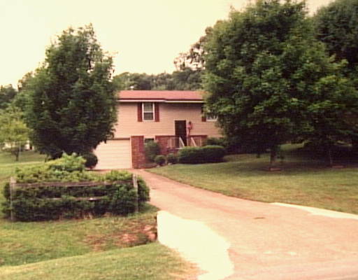 Primary Photo