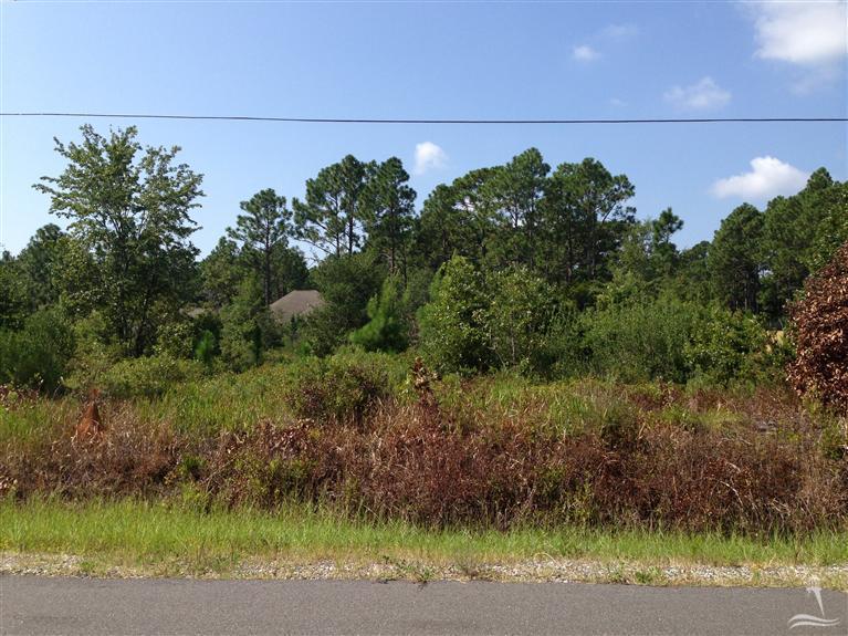 Pine Road Southport, NC 28461 - Photo 1 of 4 Primary Photo