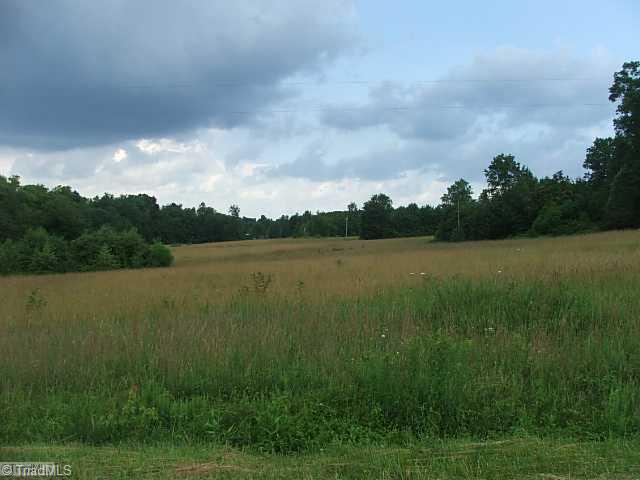 28 Venable Road Pilot Mountain, NC 27041 - Photo 1 of 6 Other. RICH BOTTOM LAND WITH BOARDERING STREAM