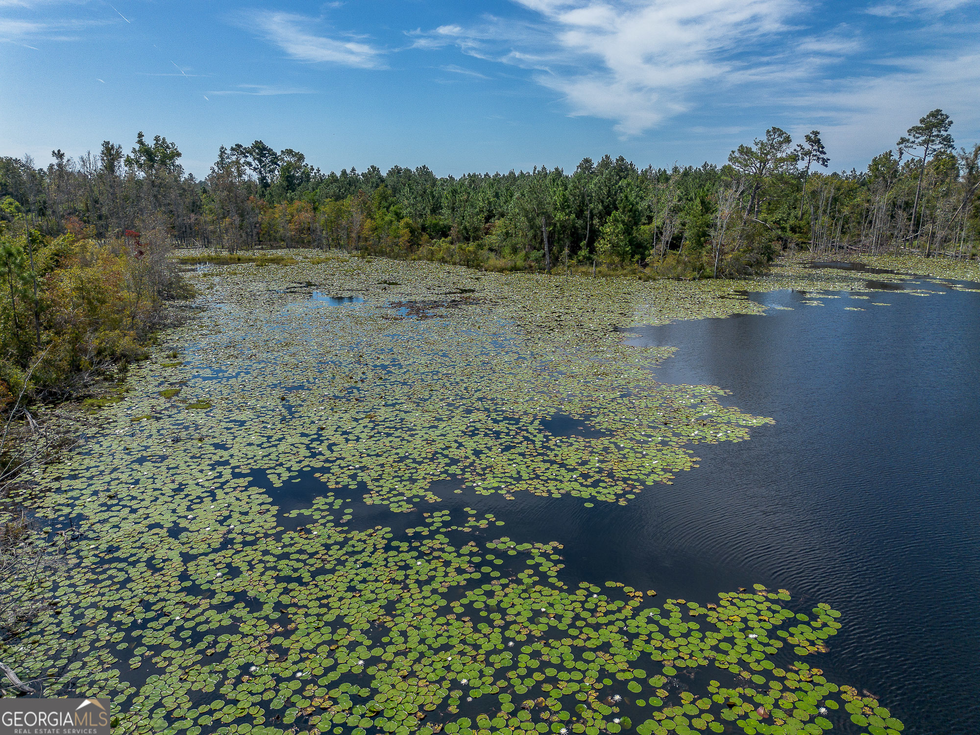 2 Rhonda Coleman Road Hazlehurst, GA 31539 - Photo 25 of 44 Gallery Image 25