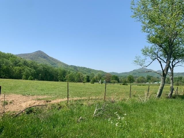 11 Katy Hollar Rd. Road Sevierville, TN 37862 - Photo 3 of 17