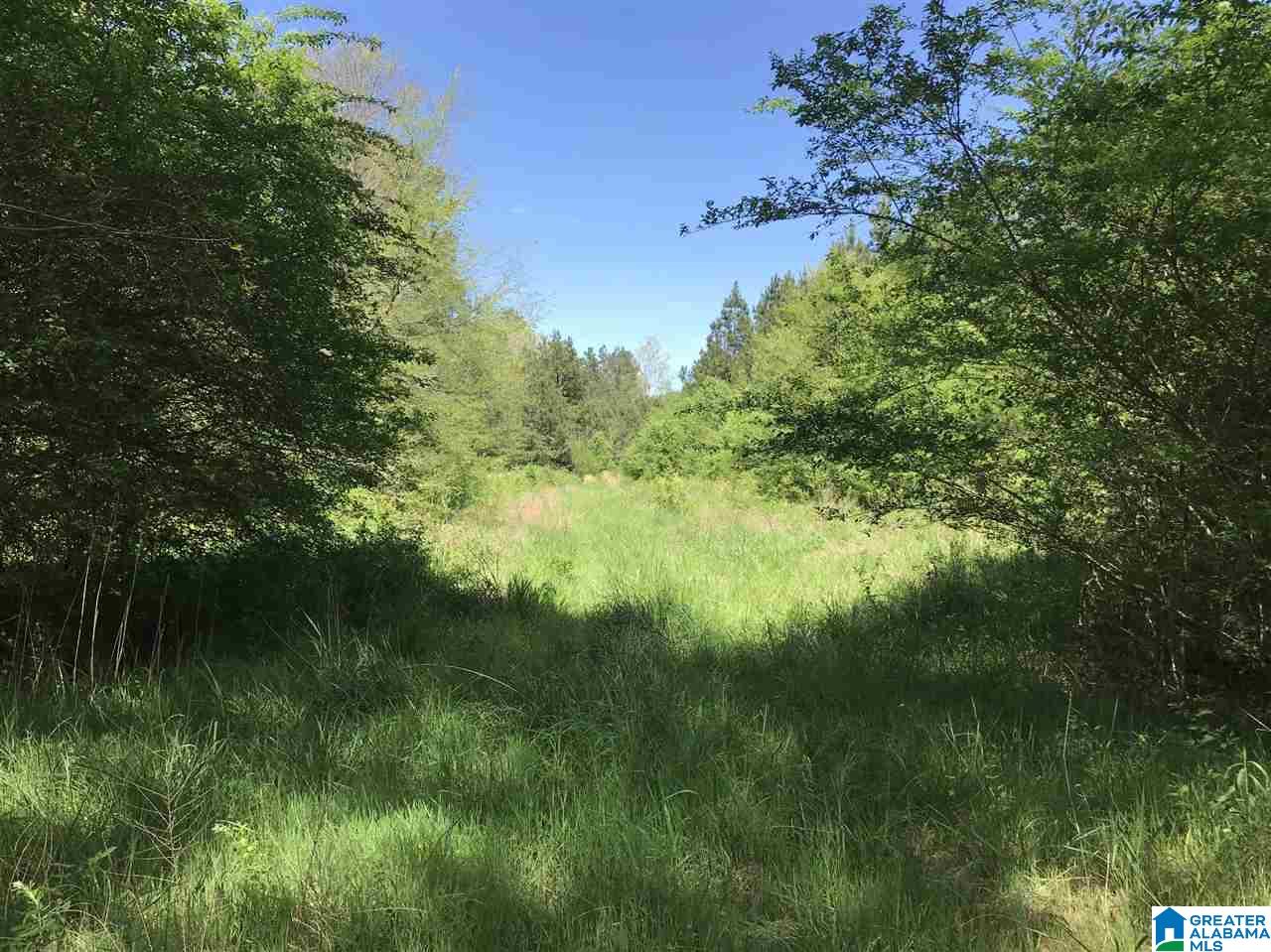 0 Acton Road, Unit 53 ACRE Moody, AL 35004 - Photo 20 of 33 Gallery Image 20