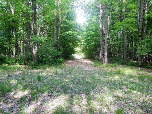Lot 14 Stanhope Mill Road Lincoln, ME 04457 - Photo 1 of 15 Photo