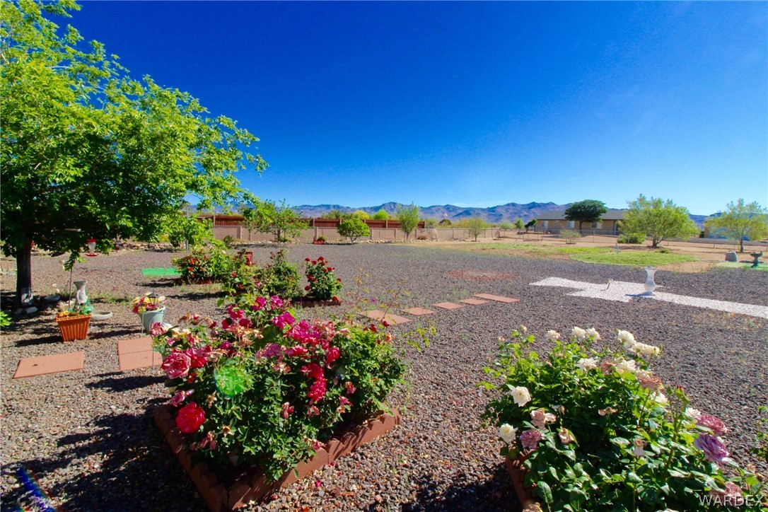 622 South Ajo Road Golden Valley, AZ 86413 - Photo 11 of 26 Gallery Image 11