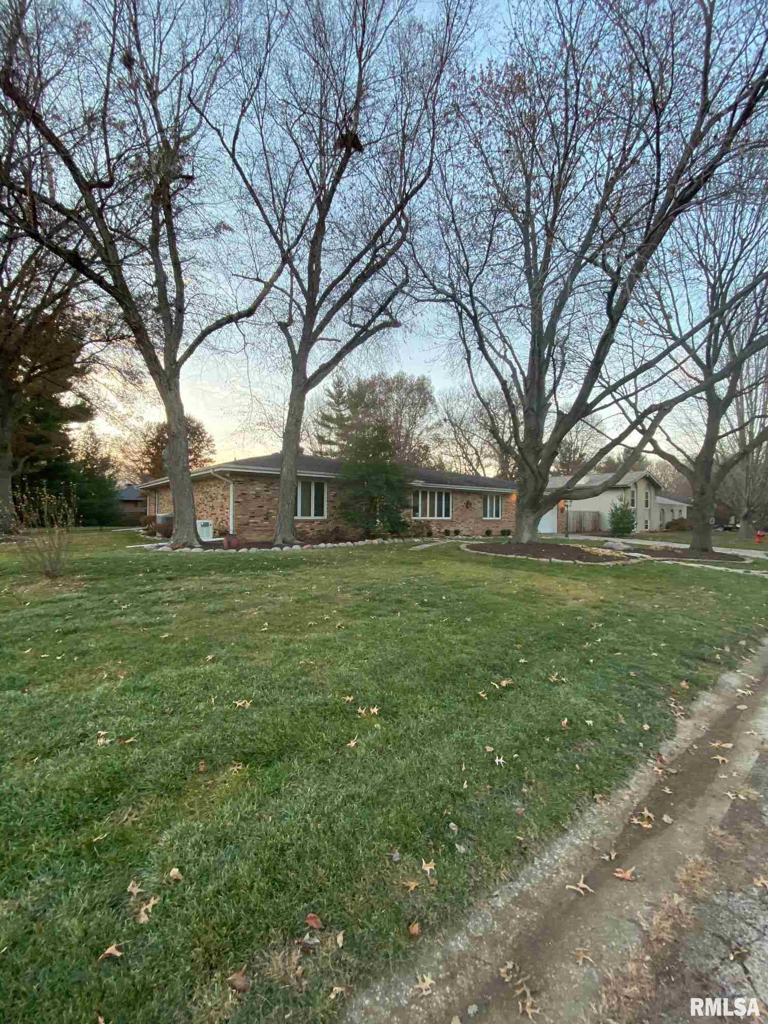 225 Wild Rose Lane Rochester, IL 62563 - Photo 22 of 36