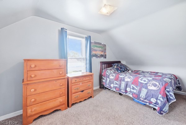 495 Mathews Road Youngstown, OH 44512 - Photo 23 of 33 Gallery Image 23