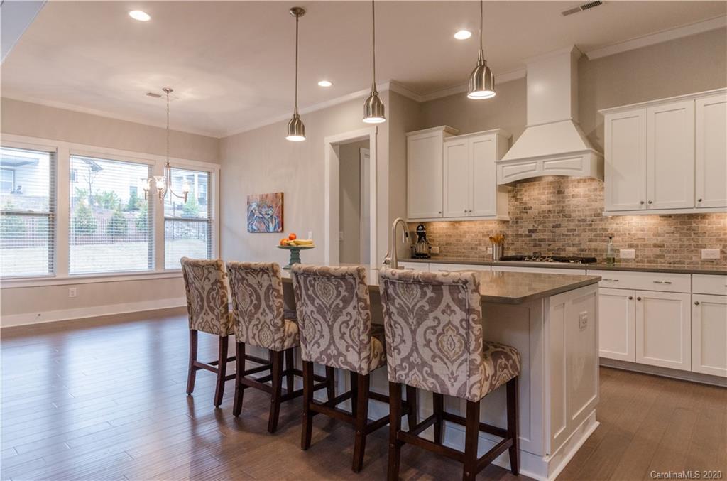 1568 Half Pint Loop Fort Mill, SC 29708 - Photo 4 of 44 Gallery Image 4