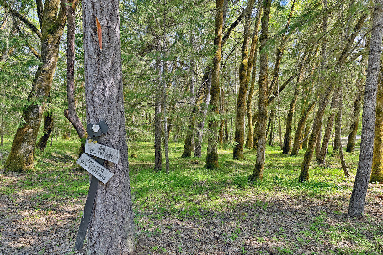 12342 Lower River Road Grants Pass, OR 97526 - Photo 21 of 25 DSC_2014