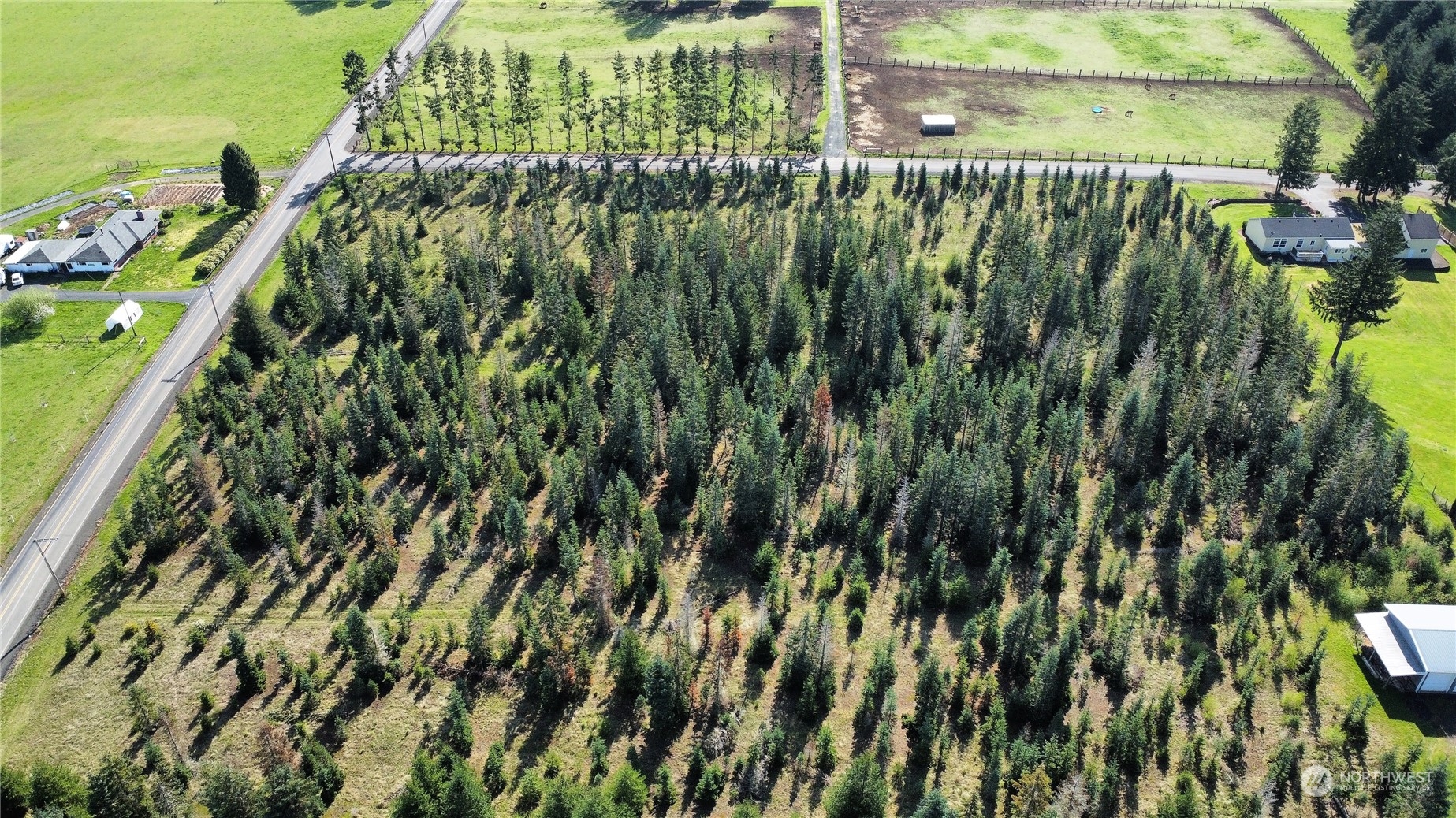 0 Brown Road East Chehalis, WA 98532 - Photo 11 of 17 a view of a garden with a plant