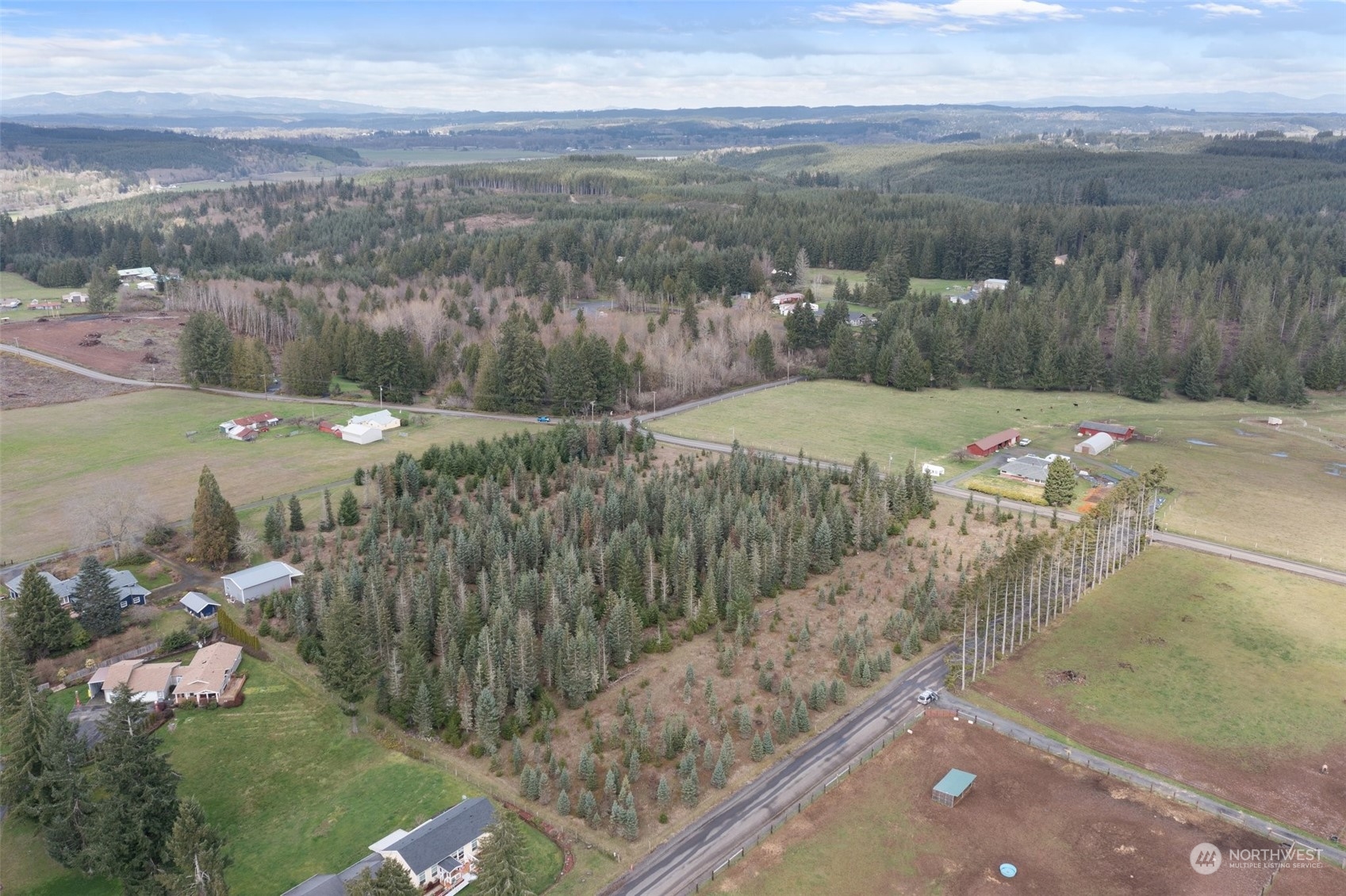 0 Brown Road East Chehalis, WA 98532 - Photo 14 of 17 a view of a yard