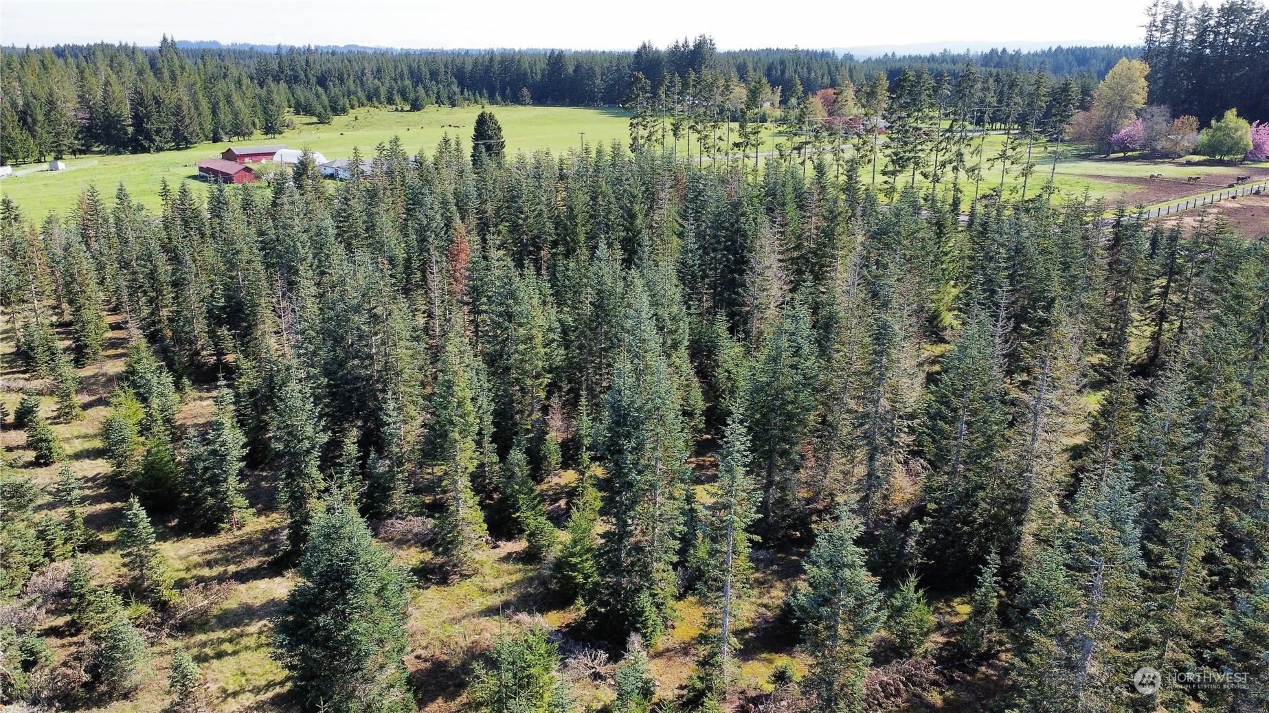 0 Brown Road East Chehalis, WA 98532 - Photo 6 of 17 a view of a garden with a fountain
