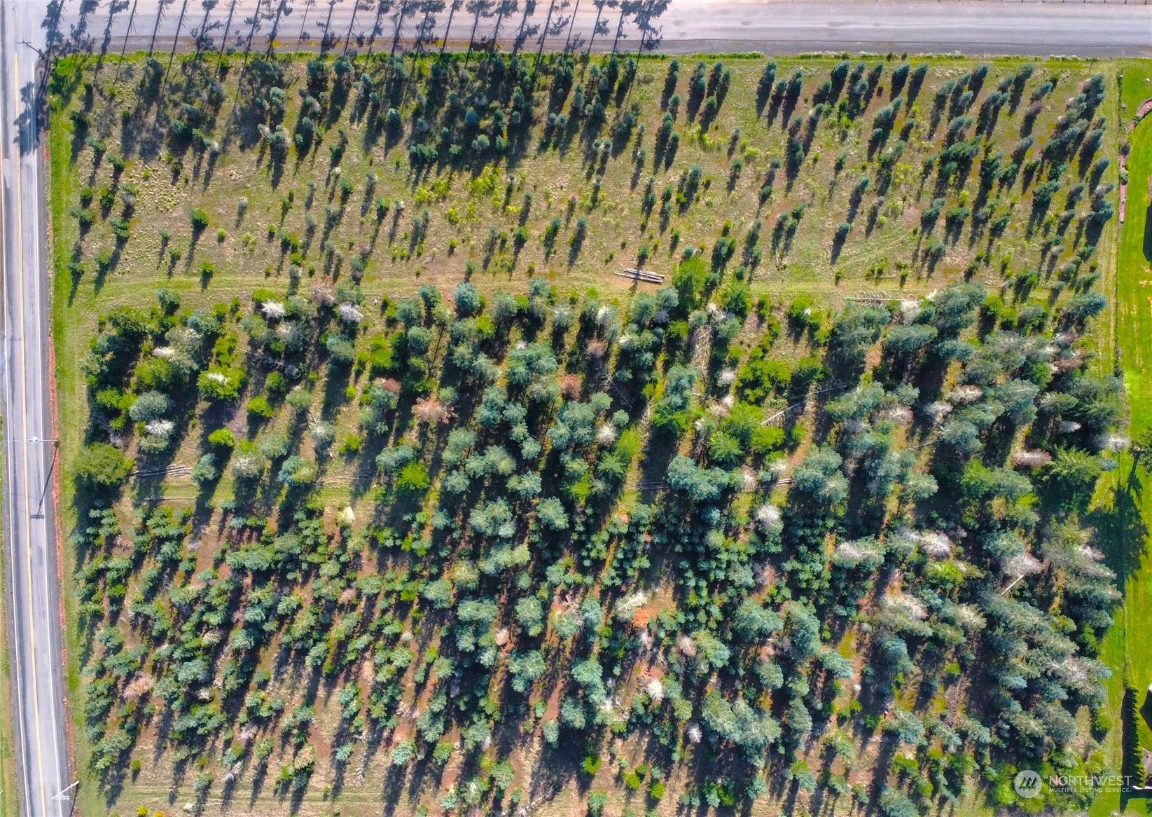 0 Brown Road East Chehalis, WA 98532 - Photo 7 of 17 a view of a garden