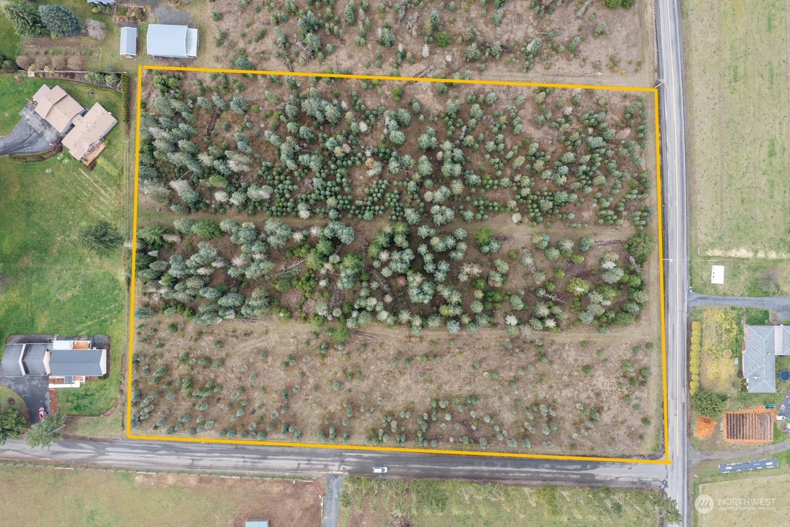 0 Brown Road East Chehalis, WA 98532 - Photo 9 of 17 a view of a small yard and large trees
