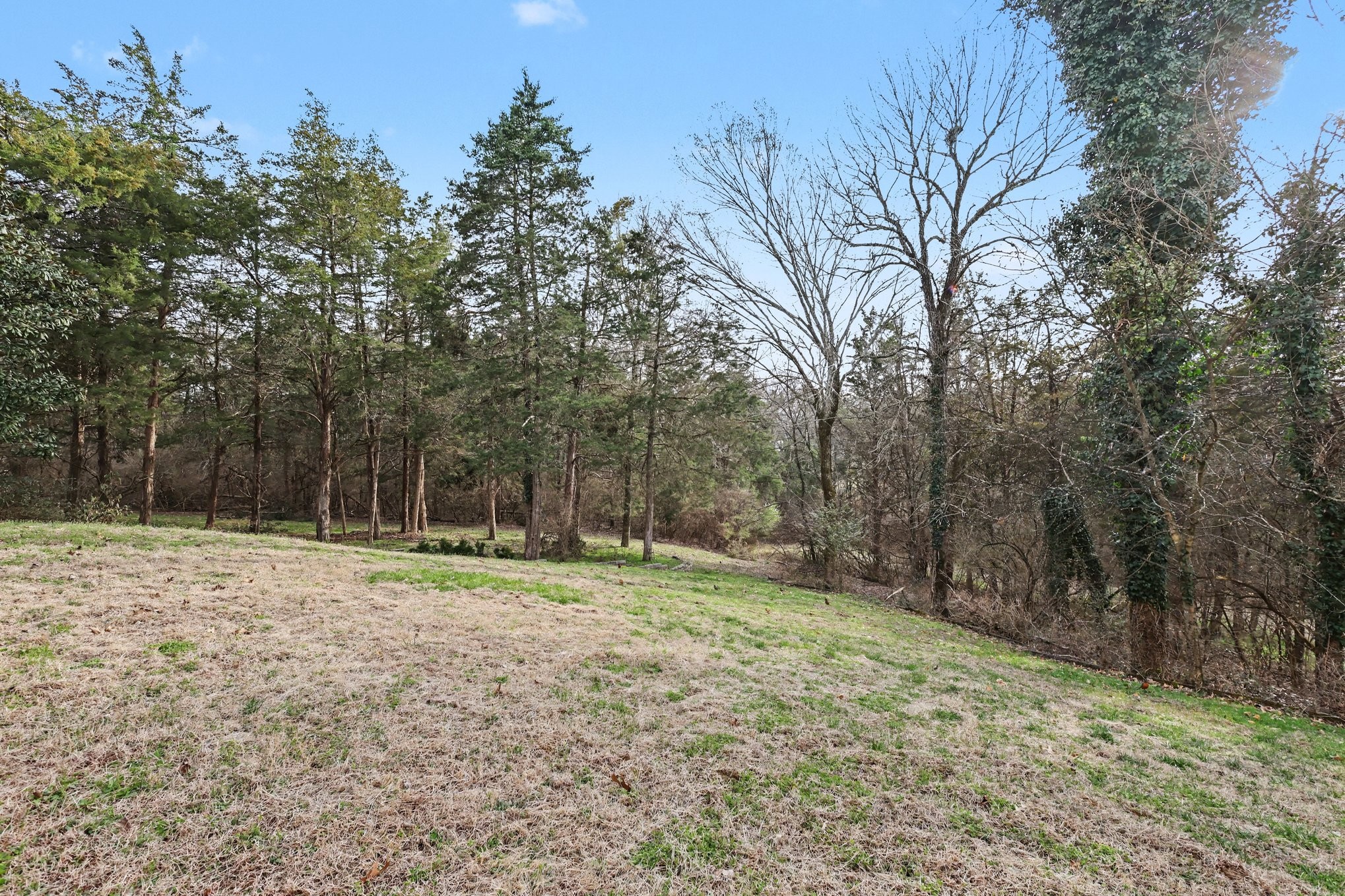 237 Halberton Drive Franklin, TN 37069 - Photo 30 of 58