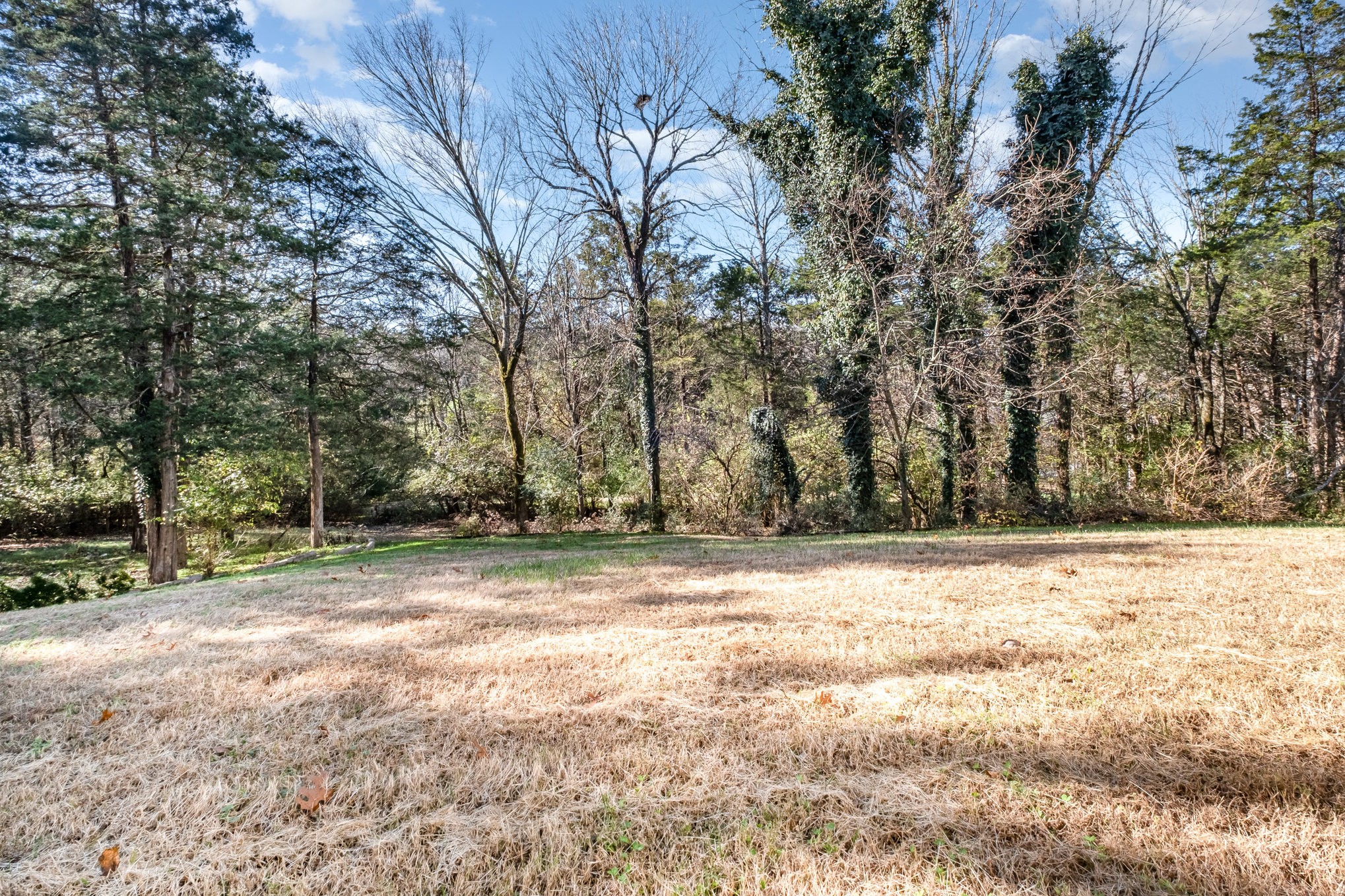 237 Halberton Drive Franklin, TN 37069 - Photo 3 of 28