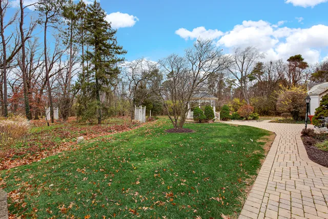 a view of park space