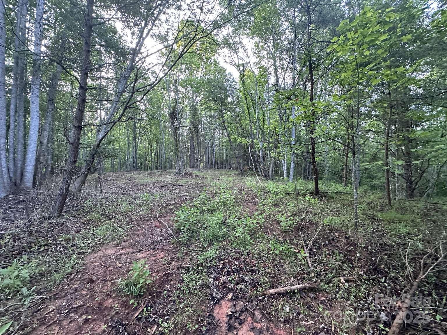 2320 Howard Arnette Road Lenoir, NC 28645 - Photo 11 of 20