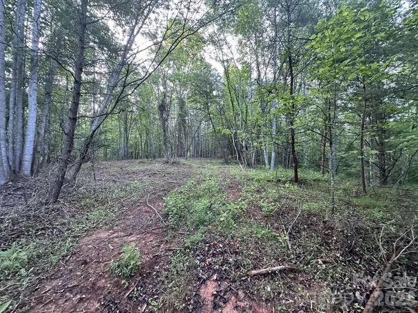 a view of outdoor space and green space